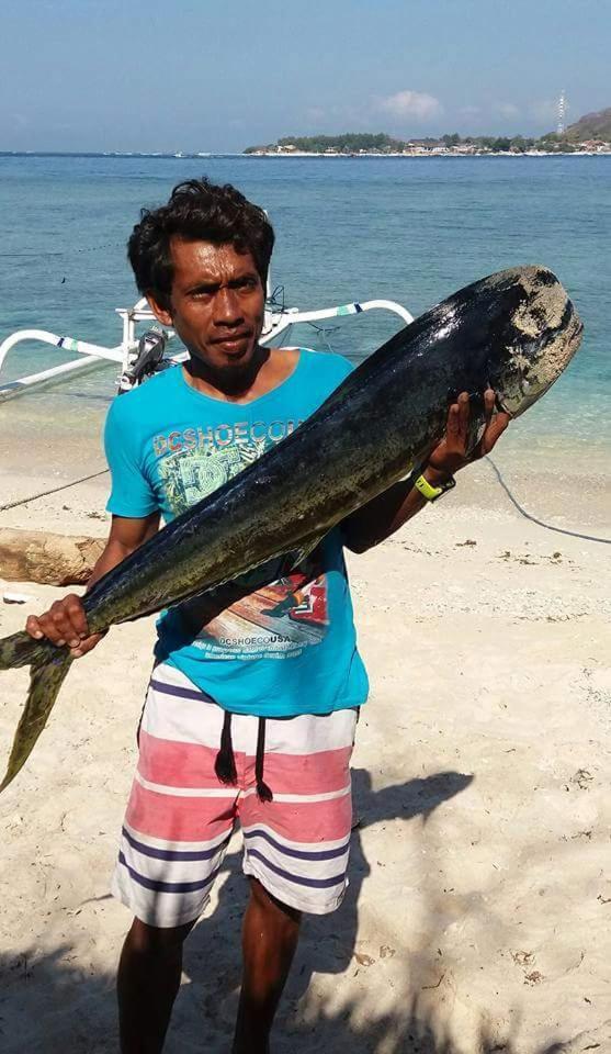 Sasak Island Bungalows Gili Meno Eksteriør billede